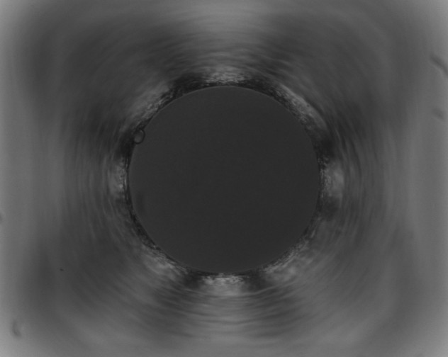 X0000097590517200802291222