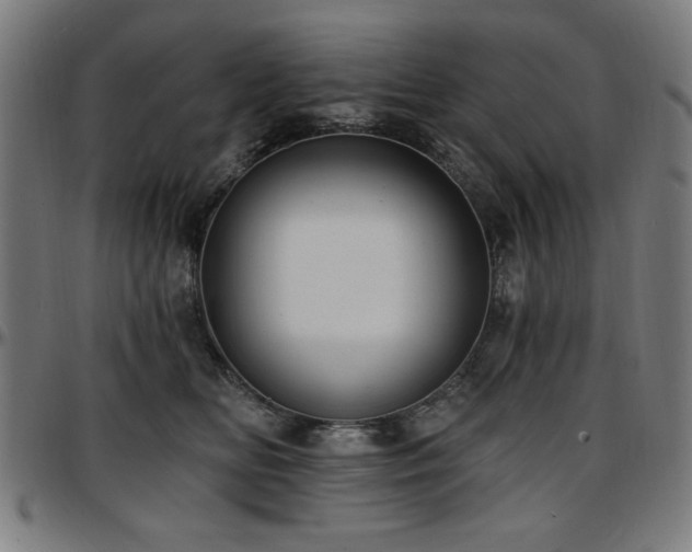 X0000097590518200802291222