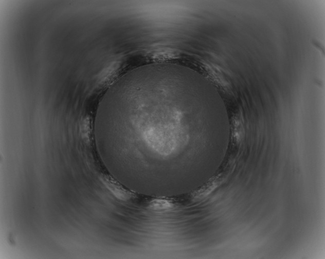 X0000097590519200802291222