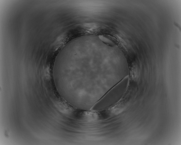 X0000097590520200802291222
