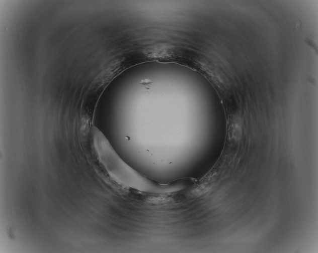 X0000097590521200802291222