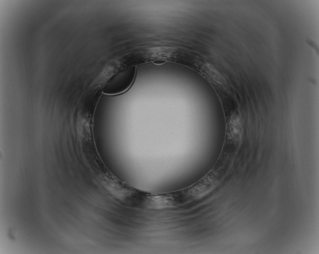 X0000097590522200802291222