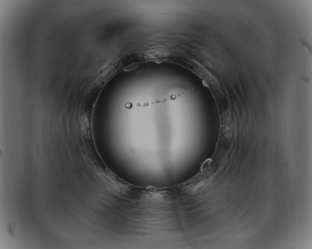 X0000097590523200802291222