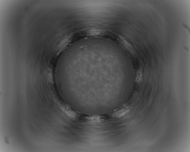 X0000097590524200802291222