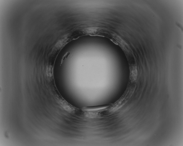 X0000097590525200802291222