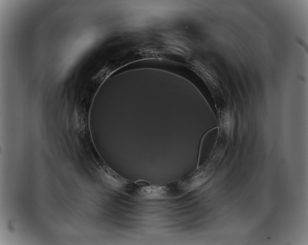 X0000097590526200802291222