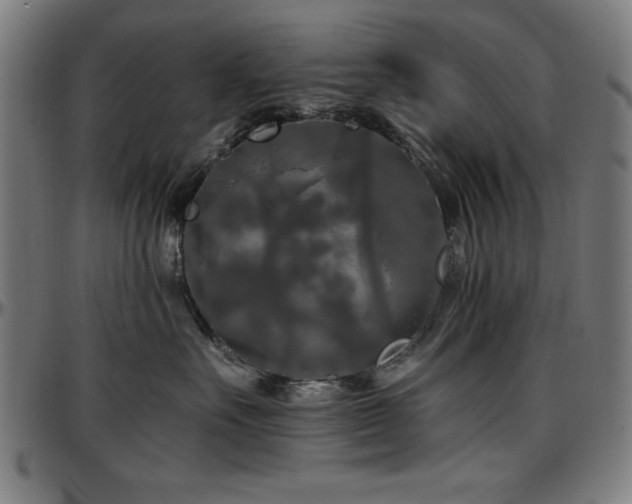 X0000097590527200802291222