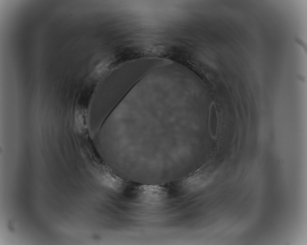 X0000097590528200802291222