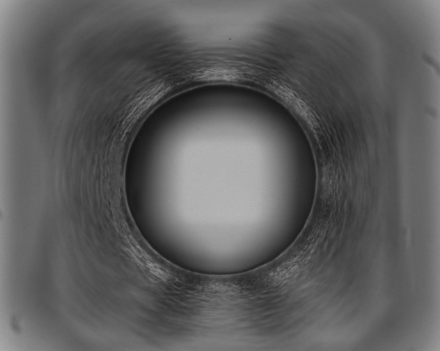 X0000097590529200802291221