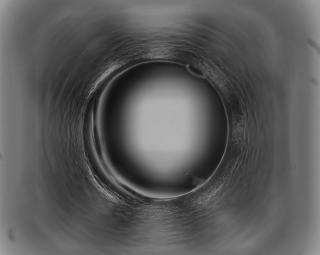 X0000097590530200802291221