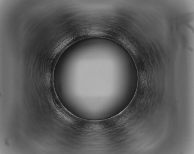 X0000097590533200802291221