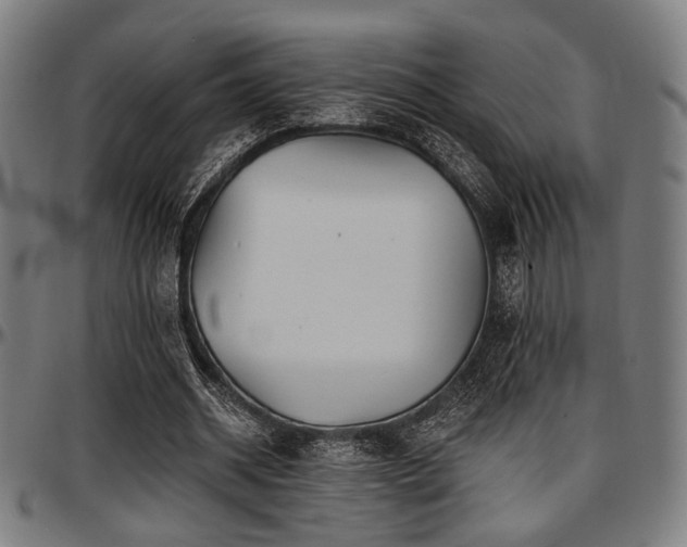 X0000097590534200802291221