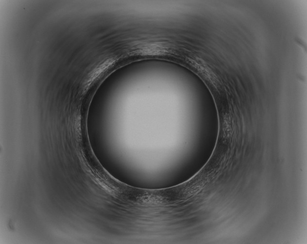X0000097590535200802291221