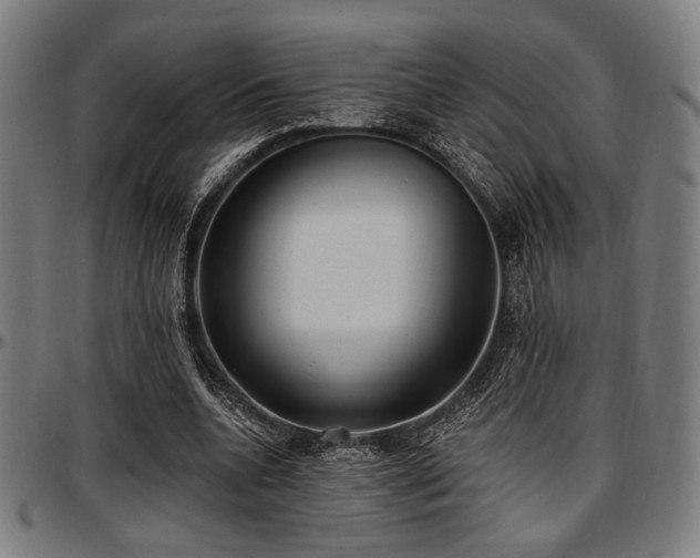 X0000097590536200802291221