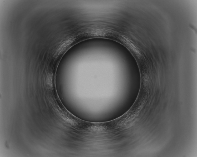 X0000097590537200802291221
