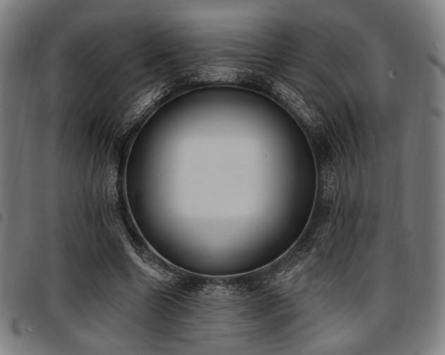 X0000097590538200802291221