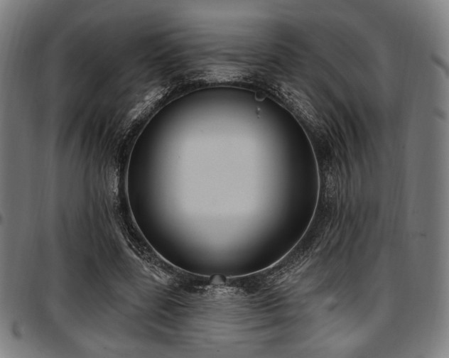X0000097590539200802291221
