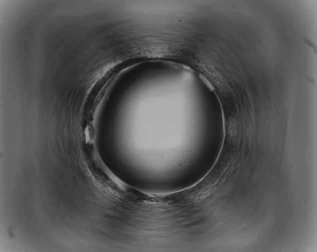 X0000097590540200802291221