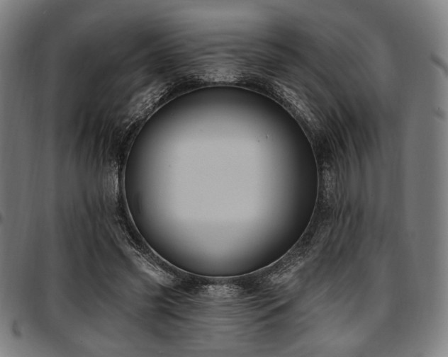 X0000097590541200802291221