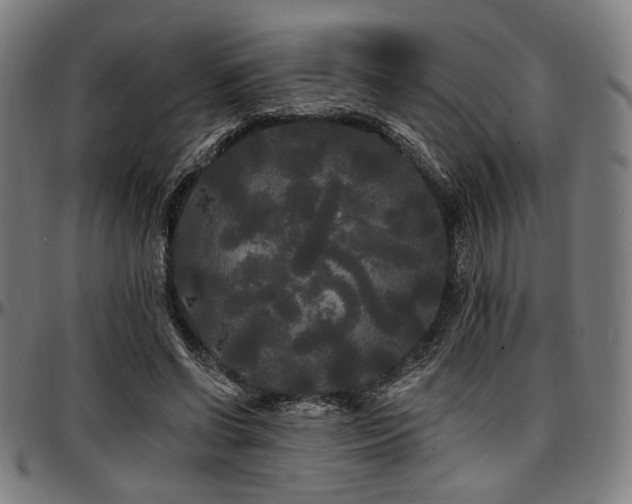 X0000097590542200802291221