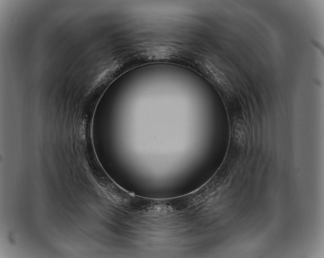 X0000097590543200802291221
