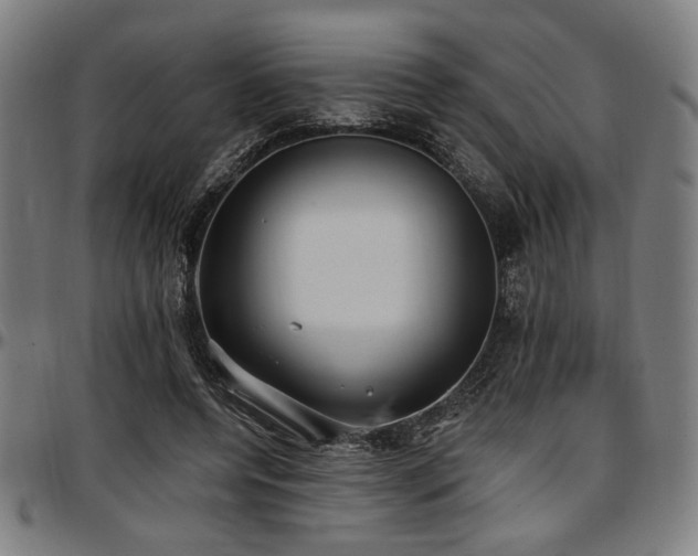 X0000097590544200802291221