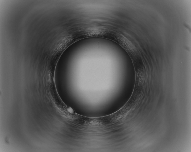 X0000097590546200802291221
