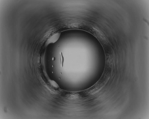 X0000097590548200802291221