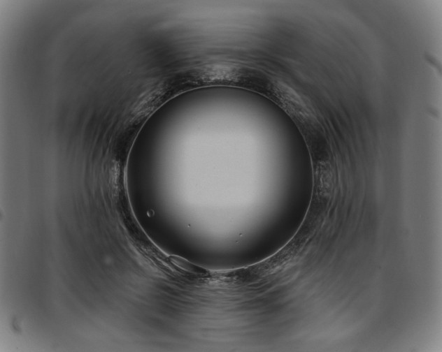 X0000097590550200802291221