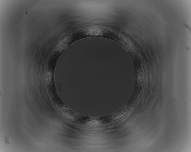 X0000097590551200802291221