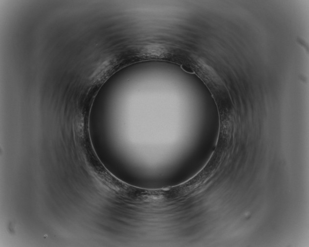 X0000097590552200802291221