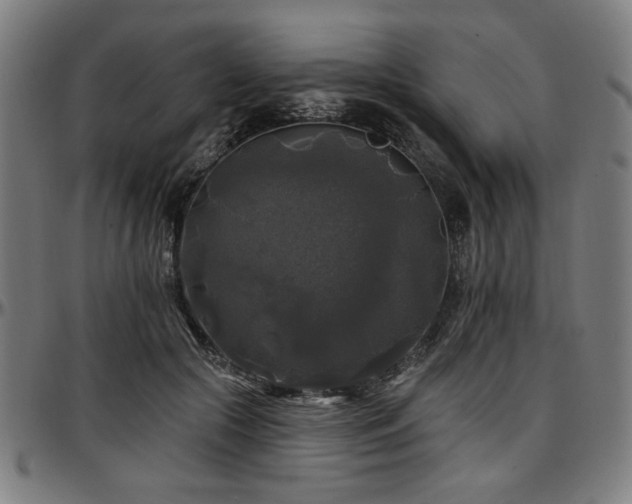 X0000097590553200802291221