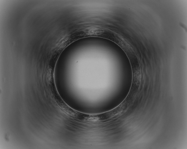 X0000097590554200802291221