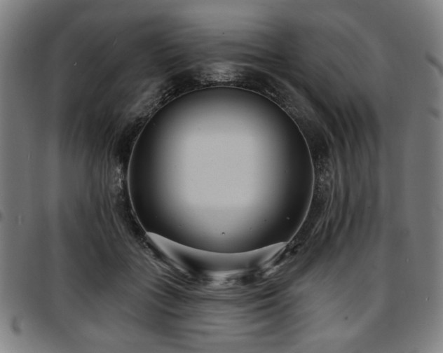 X0000097590555200802291222