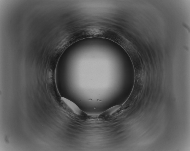 X0000097590556200802291222