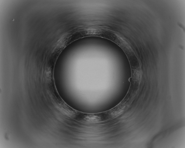 X0000097590557200802291222