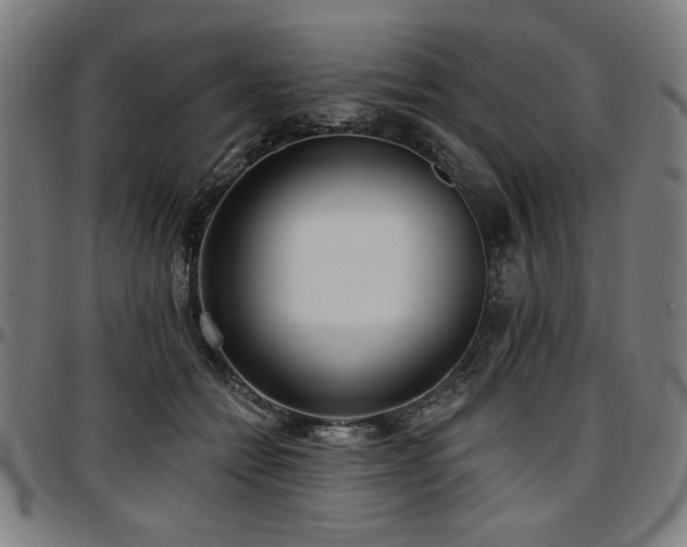 X0000097590558200802291222