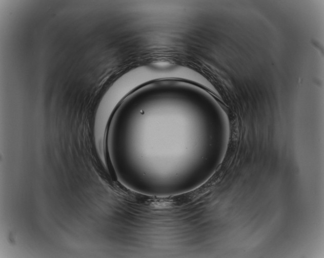 X0000097590560200802291222