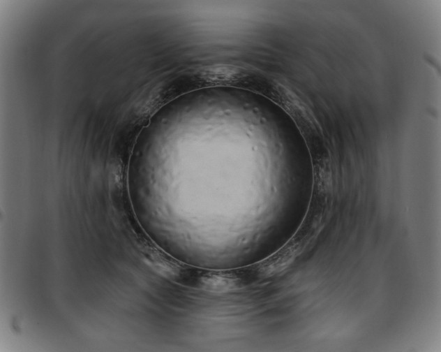 X0000097590561200802291222