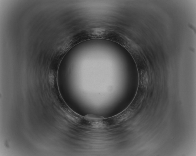 X0000097590562200802291222