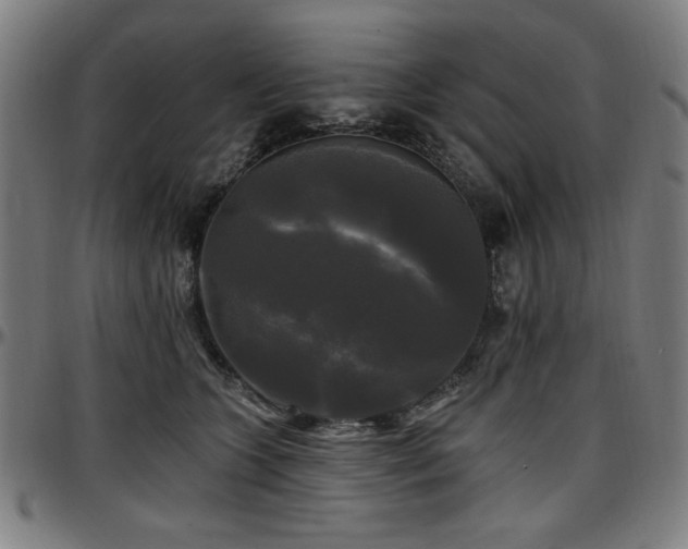 X0000097590563200802291222