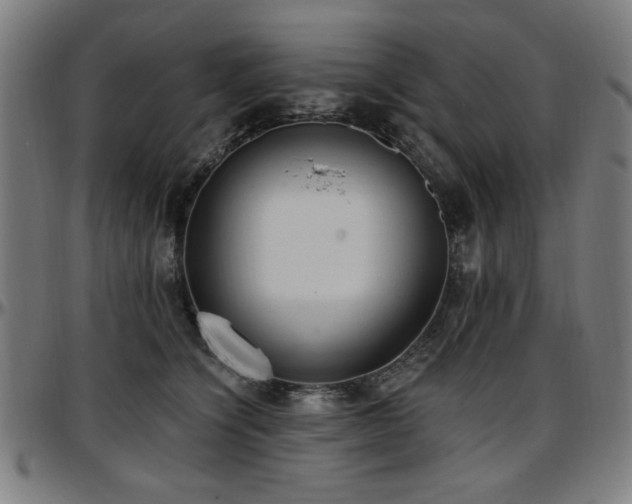 X0000097590564200802291222