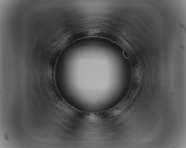 X0000097590565200802291222