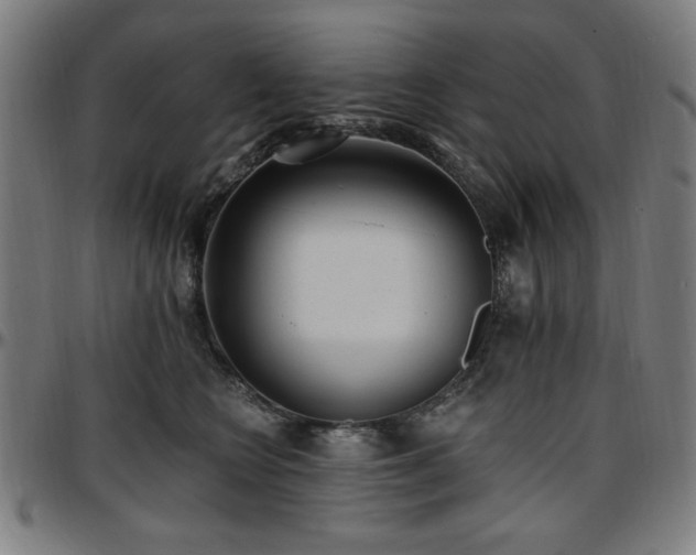 X0000097590566200802291222