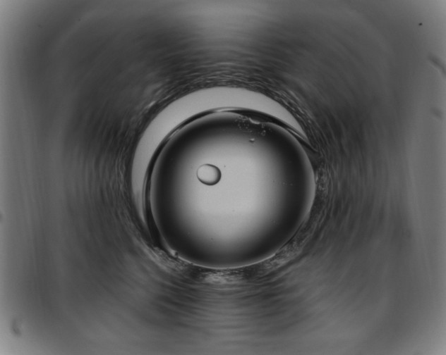 X0000097590568200802291222