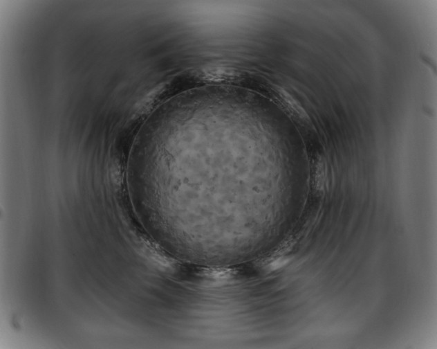 X0000097590569200802291222