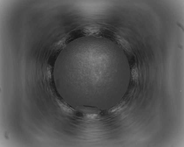 X0000097590570200802291222