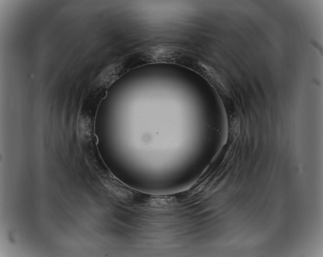 X0000097590571200802291222