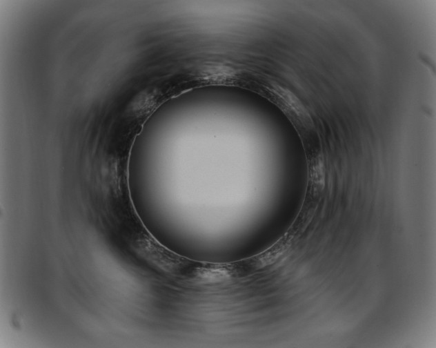 X0000097590572200802291222