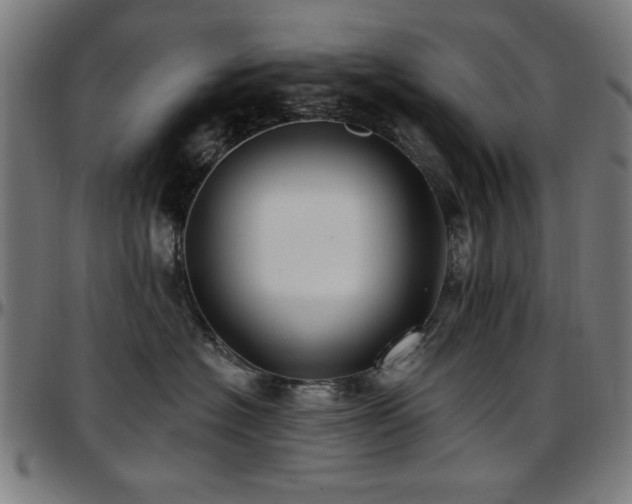 X0000097590574200802291222